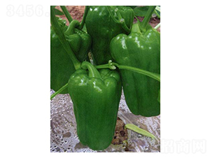 ���᠖-�A���N��-�֮���r(n��ng)�I(y��)