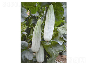 �¸��������-��ϷN��-�֮���r�I(y��)