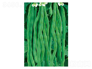 ���m���x�ܶ���-���ǷN��-�֮���r(n��ng)�I(y��)