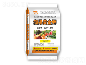 �����S���-��������