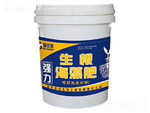 ���������-��������