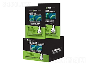 ���徫-ʩ��(y��u)��-��������