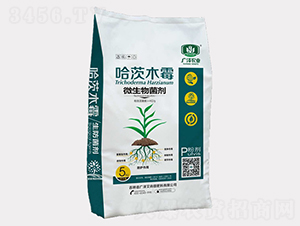 ����ľù�_ʩ��-�V�ɰ�����