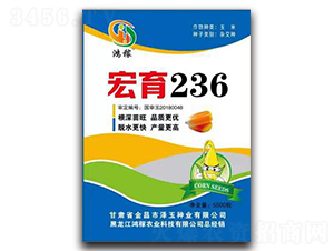 ����236-���׷N��-�����r�I(y��)