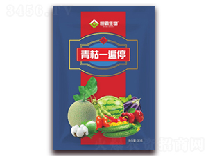 ���һ��ͣ-�������