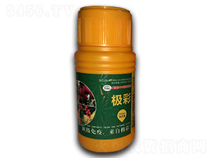 ΢�����-�O��-��(bi��o)��(chu��ng)���H