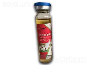 �ɹ�نΰ���-�˄�(chu��ng)���H