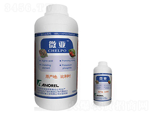 �~���-΢��-�崺�r(n��ng)�Y