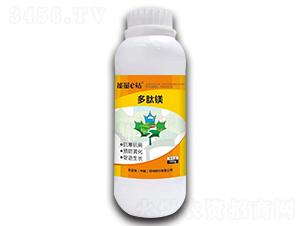 �����V-����eվ-�����