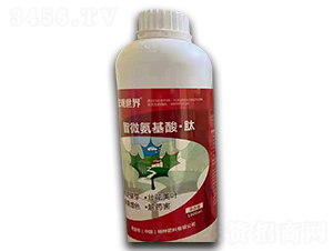 ��΢�����ᡤ��-���^����-�����