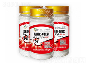 ��(x��)��������-������ 