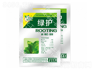 5g�ࡤ���ҡ��|̦-�G�o-������