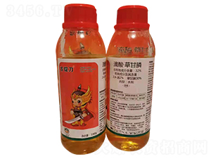 32.4%���ᡤ�ݸ��ˮ��-���V��-���ɽ�