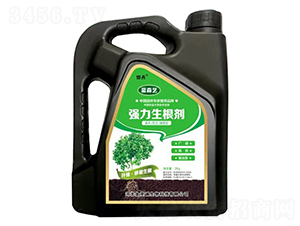 ����������-�{ɭˇ-�����\