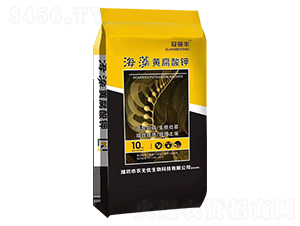 �����S�����-�����S-�r(n��ng)�o(w��)�n