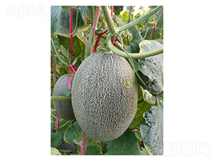 ������17-��ϷN��-��ϲ�r(n��ng)�I(y��)