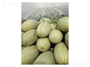 ������25-��ϷN��-��ϲ�r(n��ng)�I(y��)