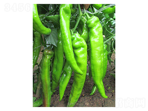 �⽷�N��-��ϲ�r(n��ng)�I(y��)