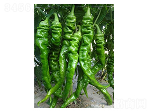 �ݽz���N��-��ϲ�r(n��ng)�I(y��)