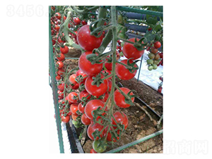 С��133-�������t���N��-��ϲ�r(n��ng)�I(y��)