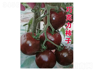 �ɿ������ѷN��-��ϲ�r(n��ng)�I(y��)