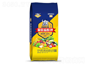 ��ˮ�ܾ��������-��ţ