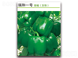 ���һ̖(h��o)-�𽷷N��-������