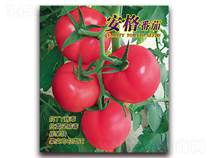 ������-���ѷN��-������