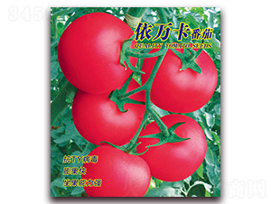 ���f������-���ѷN��-������