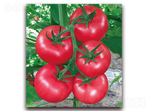 ��ɫ��-���ѷN��-������