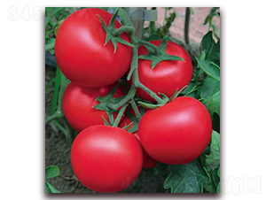 �{��101-���ѷN��-������