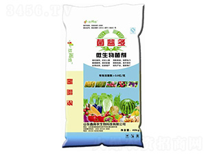 �����΢�������-���Ѓz