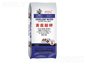 �S�����-���ϻ���