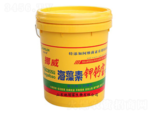 ��������}��-�عڸ�