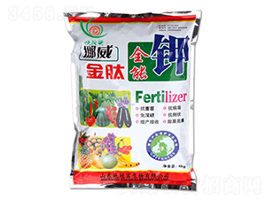 ȫ���-�عڸ�