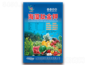 �����Ľ��-�عڸ�