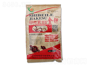 �ך��غ�����-�عڸ�