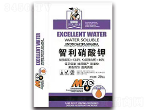 ���������-�����o(j��)�ʘI(y��)