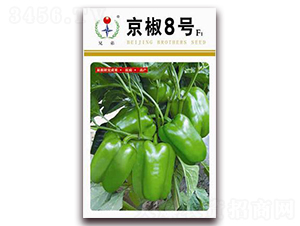 ����8̖(h��o)-�����N��-�ֵ�