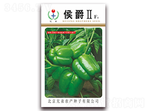 �����-�����N��-�ֵ�