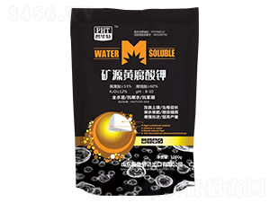 �VԴ�S�����-������