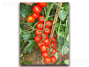 �M��2018���ҷ���-���ѷN��-�M��N��