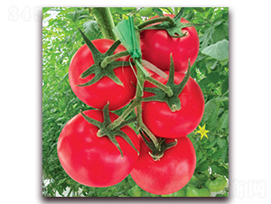 �ݷ���̖(h��o)����-���ѷN��-�M��N��