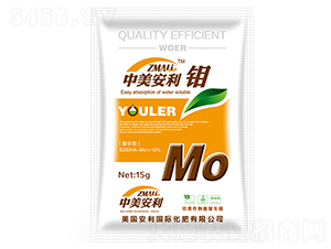 ���ϑB(t��i)�f��-��������-�֠��ʘI(y��)