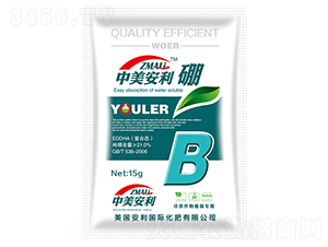 ���ϑB(t��i)���-��������-�֠��ʘI(y��)