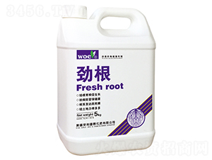 �Ÿ�-�֠��ʘI(y��)