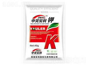 ���������-�֠��ʘI(y��)