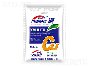 ���������~-�֠��ʘI(y��)