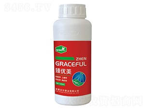 �~���-�郞(y��u)��-�֠��ʘI(y��)