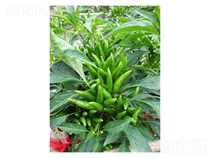 һ֦��(d��)��-���콷�N��-�r(n��ng)���f